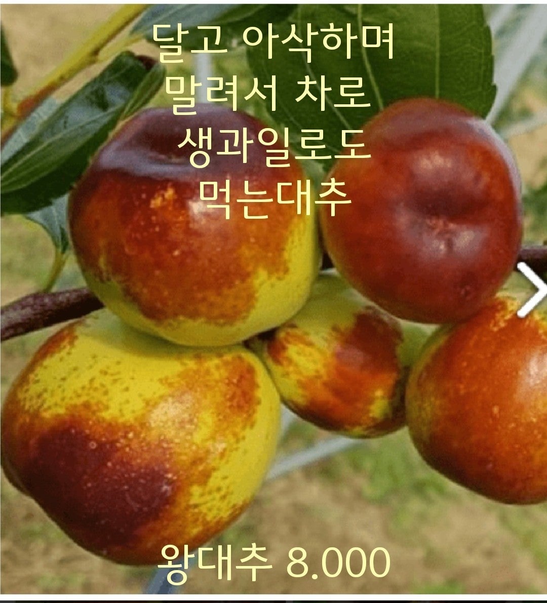 신바람 중고 농기계 매물