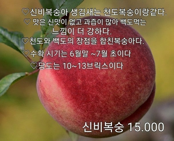 신바람 중고 농기계 매물