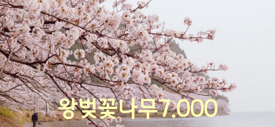 신바람 중고 농기계 매물