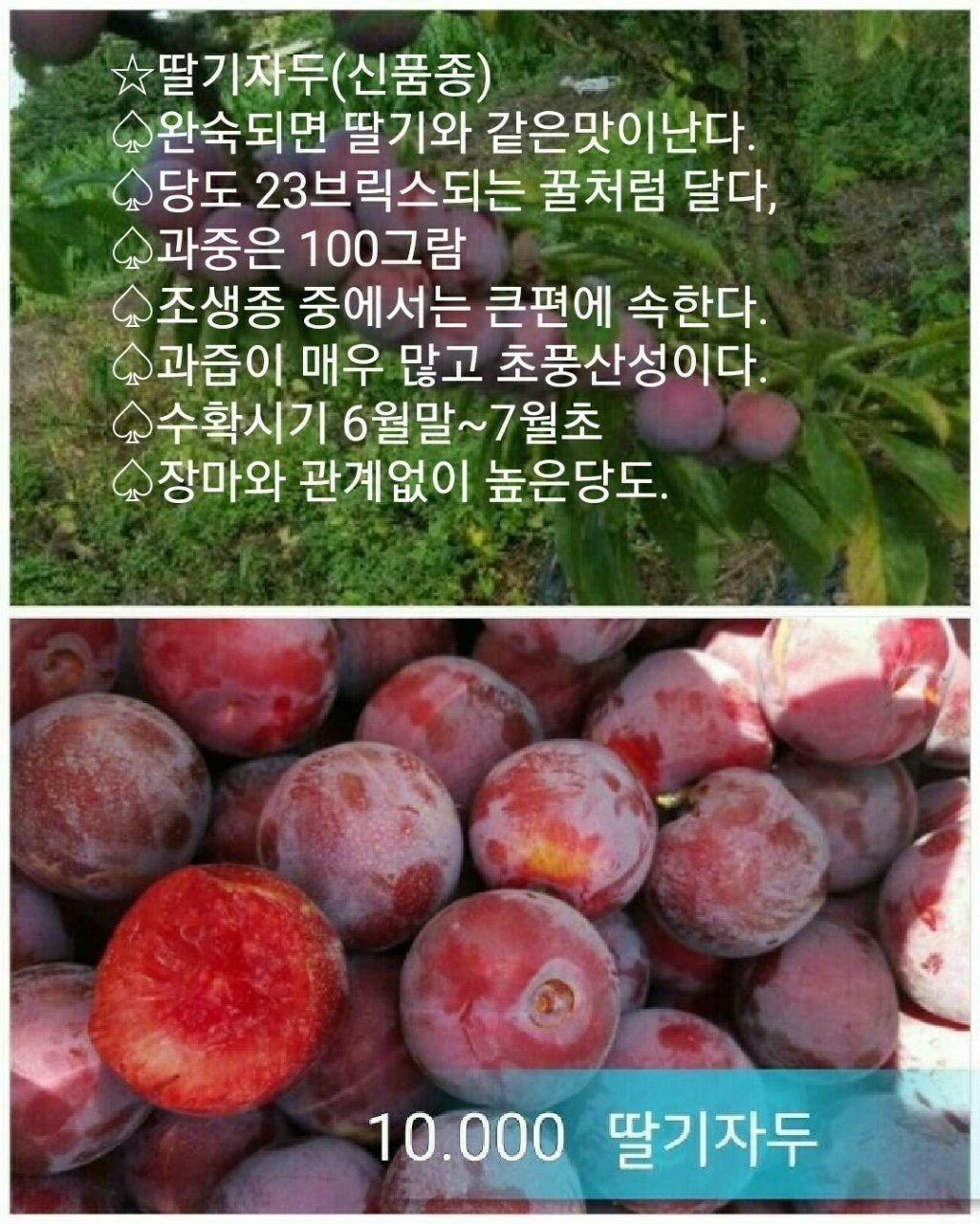 신바람 중고 농기계 매물