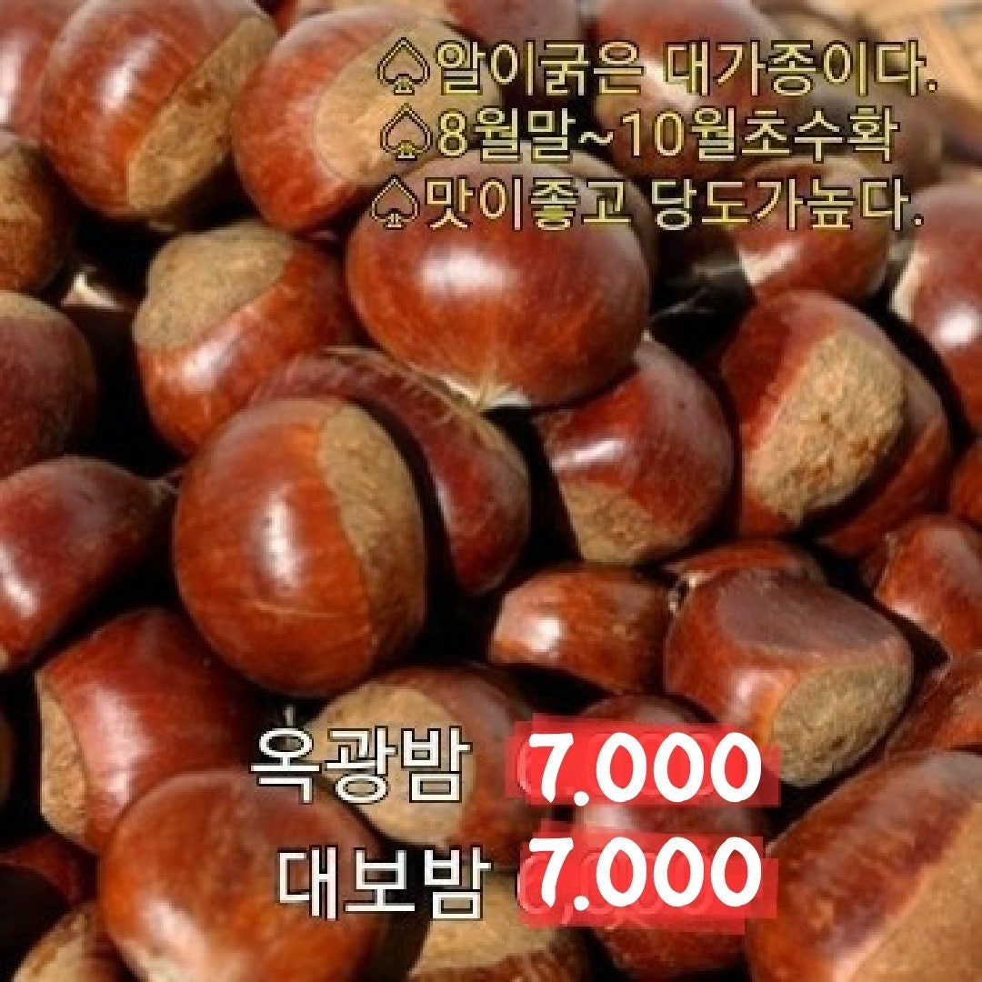 신바람 중고 농기계 매물