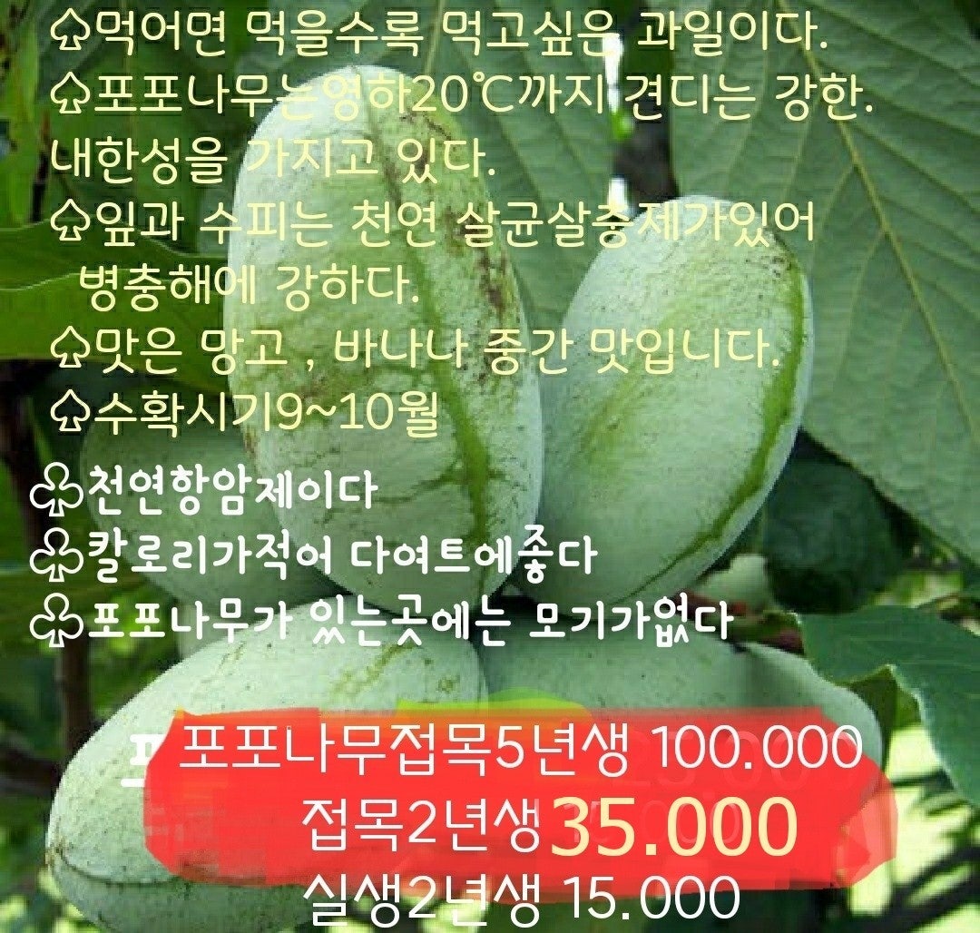 신바람 중고 농기계 매물