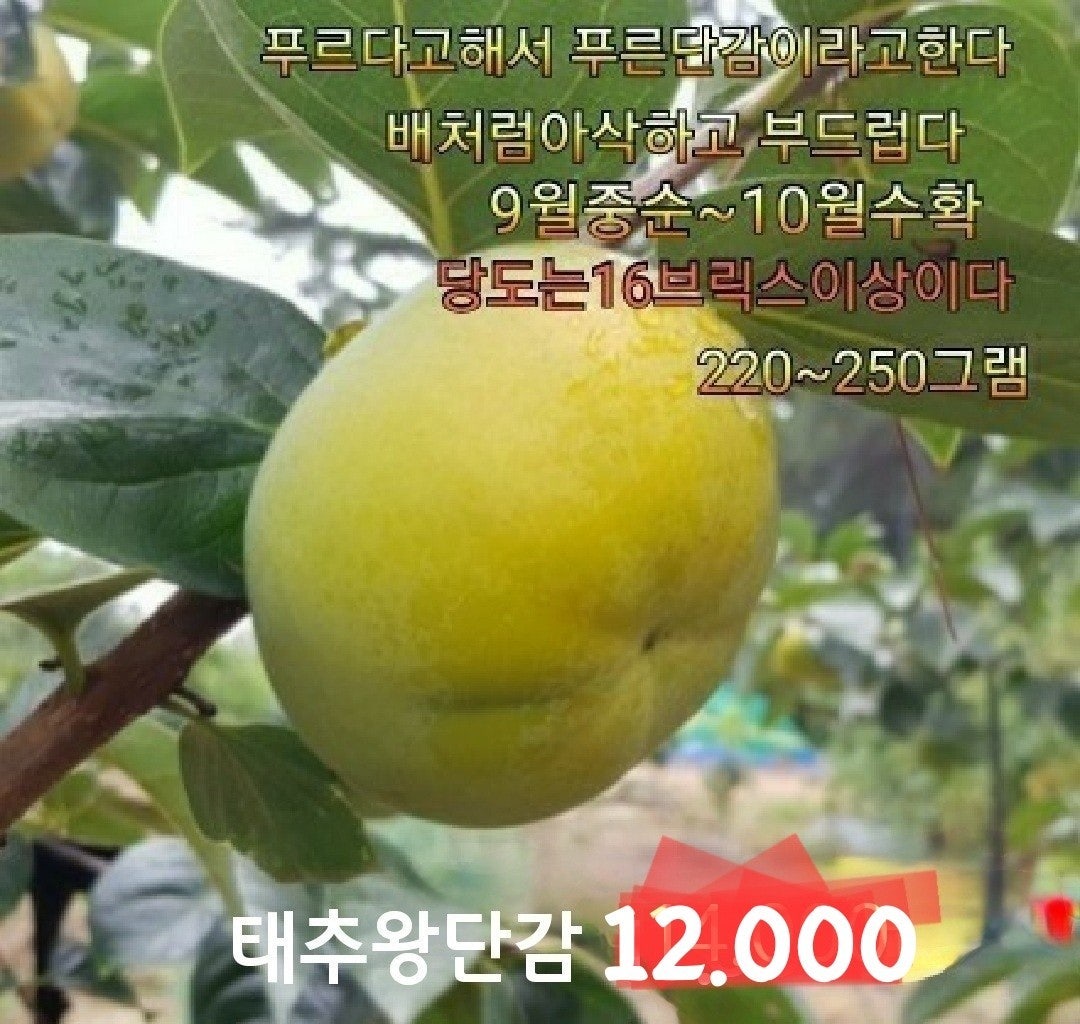 신바람 중고 농기계 매물