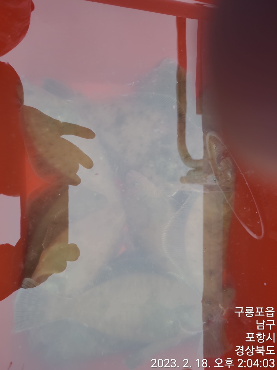 d_997Ud018svclycqqtq8lgu5_9bt2m0.jpg