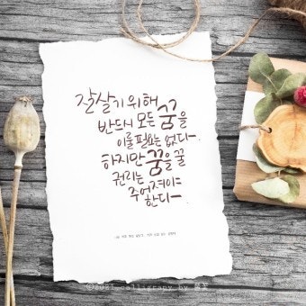 사용자가 올린 이미지