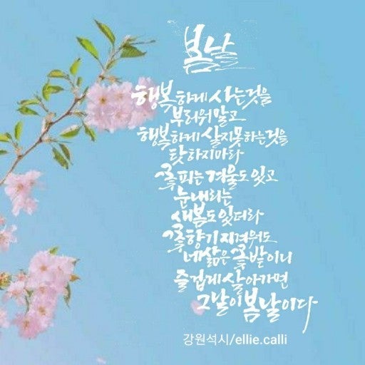 사용자가 올린 이미지