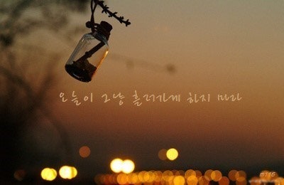 사용자가 올린 이미지