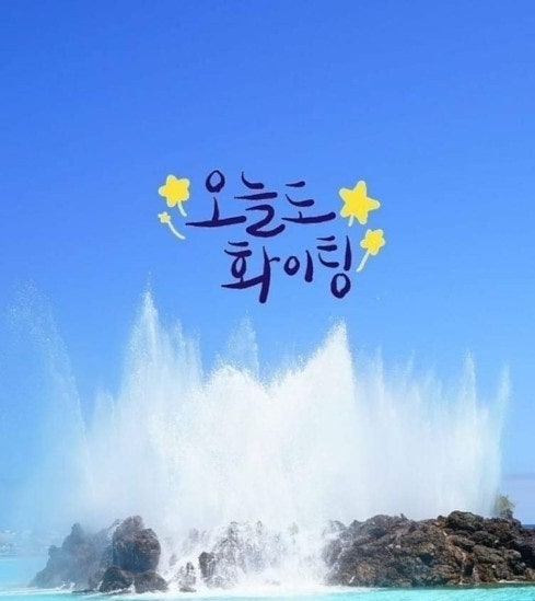 사용자가 올린 이미지