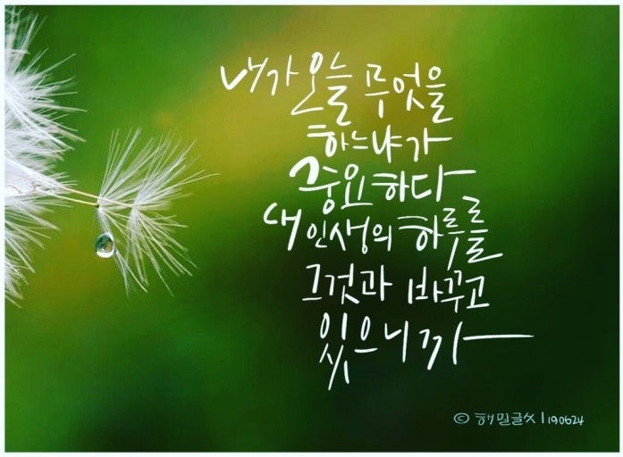 사용자가 올린 이미지