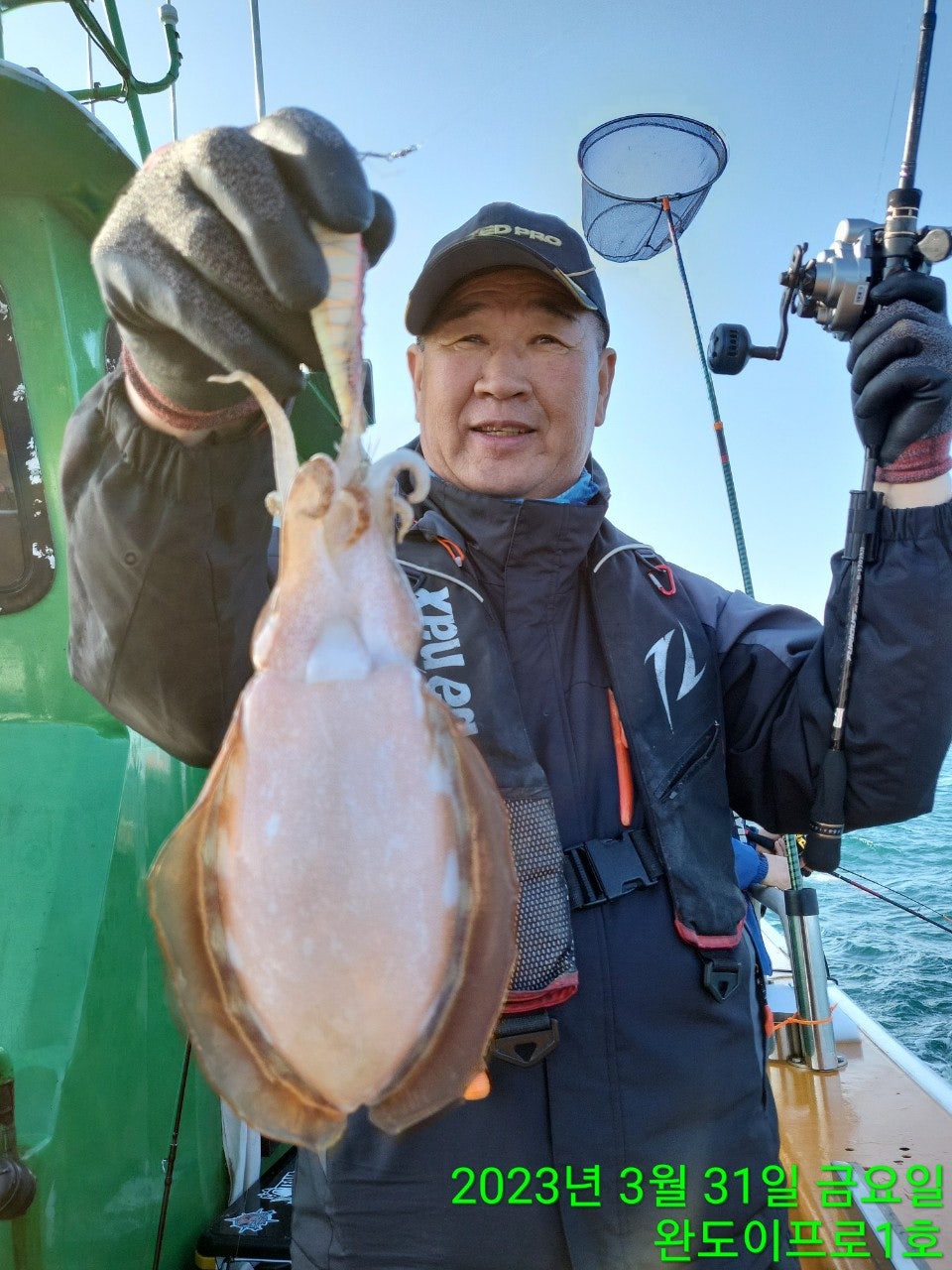 이프로 이미지