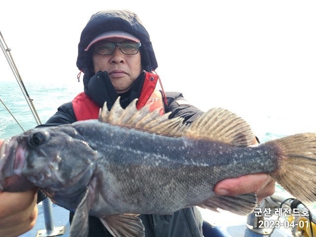 西)서해조황 - 1일 군산우럭선상낚시 우럭씨알이 점점 커지는 중~!! -군산새만금낚시 레전드호-