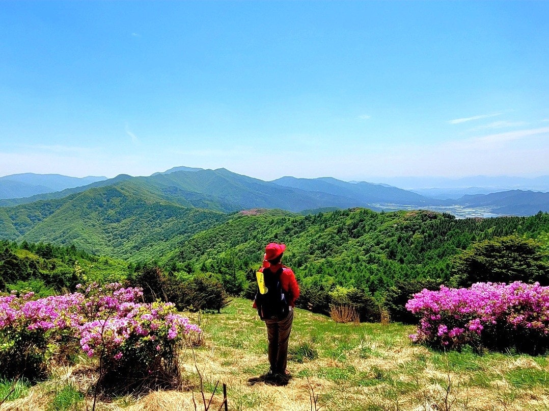 사용자가 올린 이미지