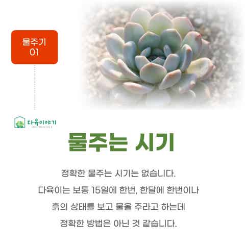 다육이야기 | Band