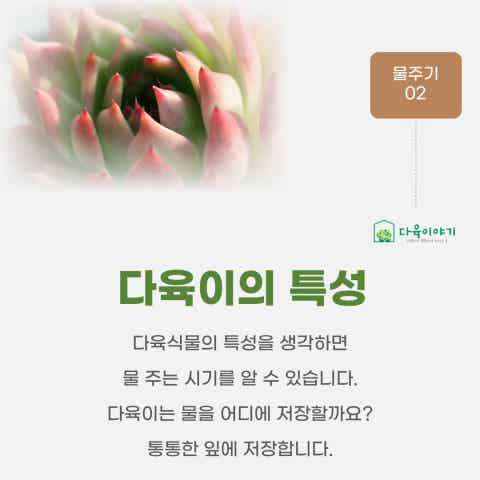 다육이야기 | Band