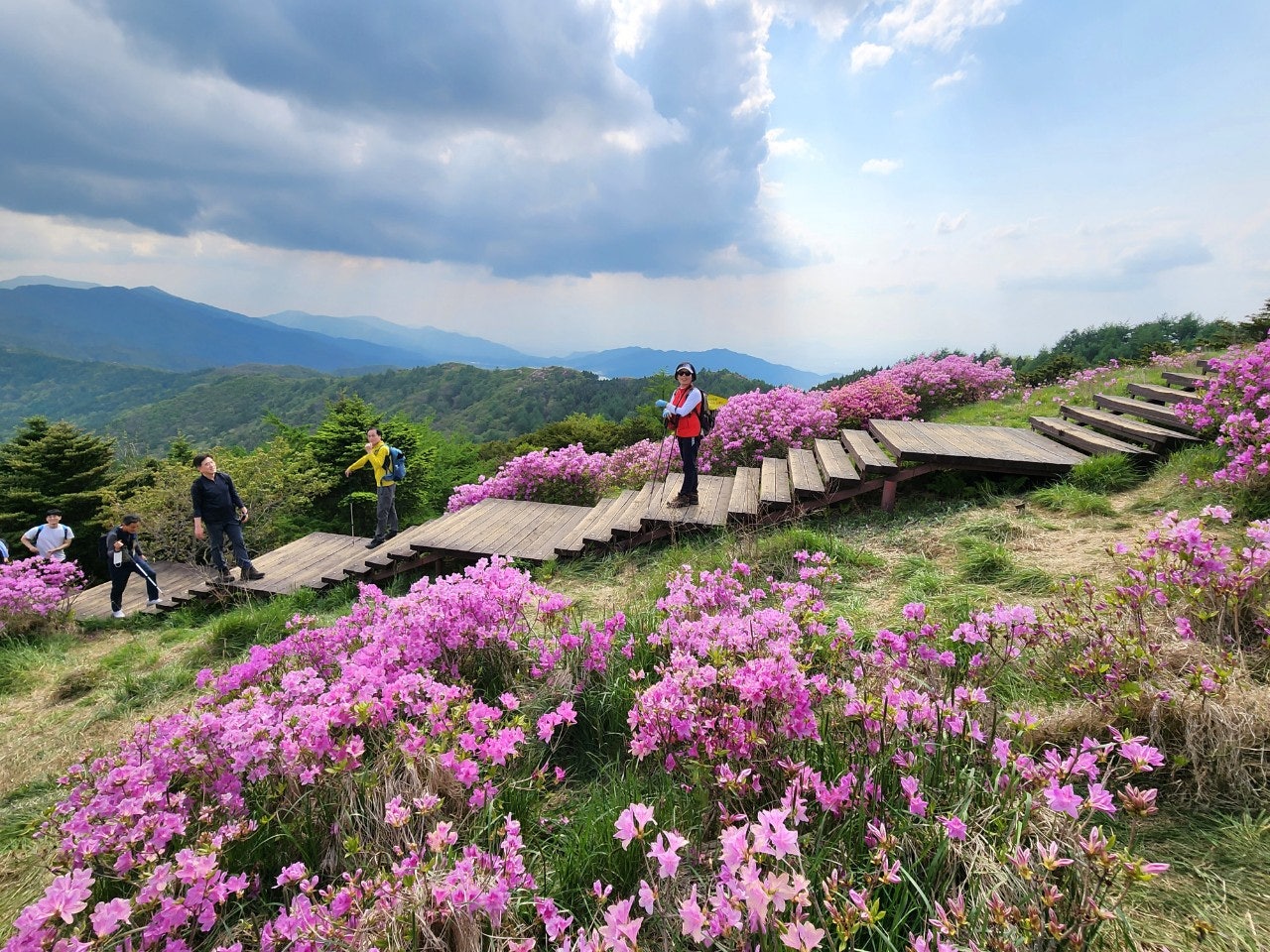 사용자가 올린 이미지