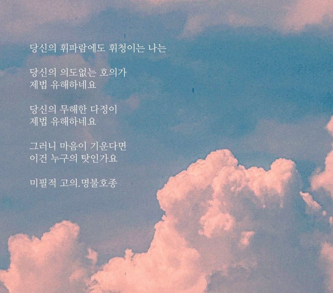 사용자가 올린 이미지