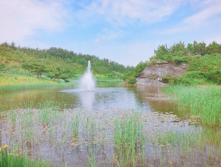 사용자가 올린 이미지