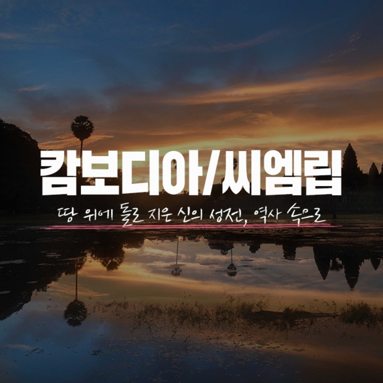 세우여행사 이미지
