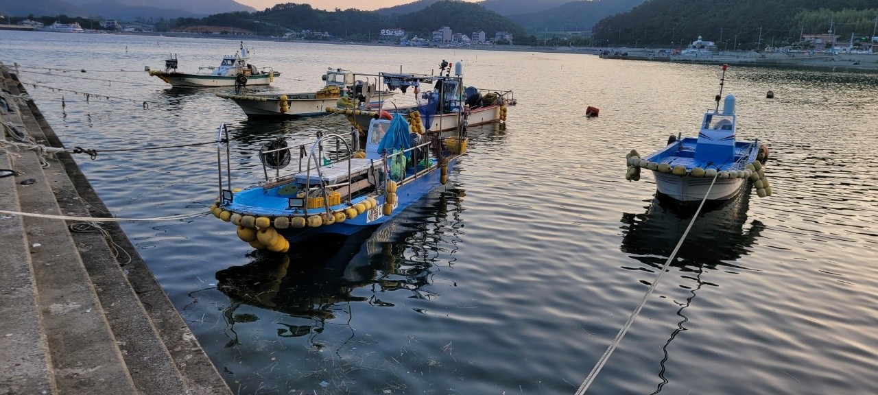 레져선 선외기 60마력 판매합니다.
