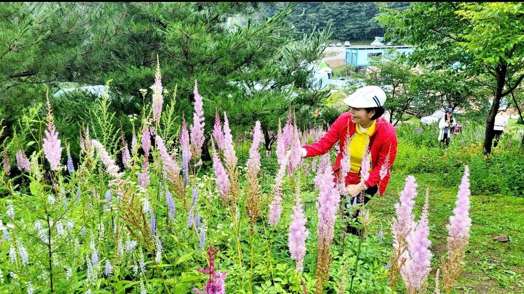 사용자가 올린 이미지