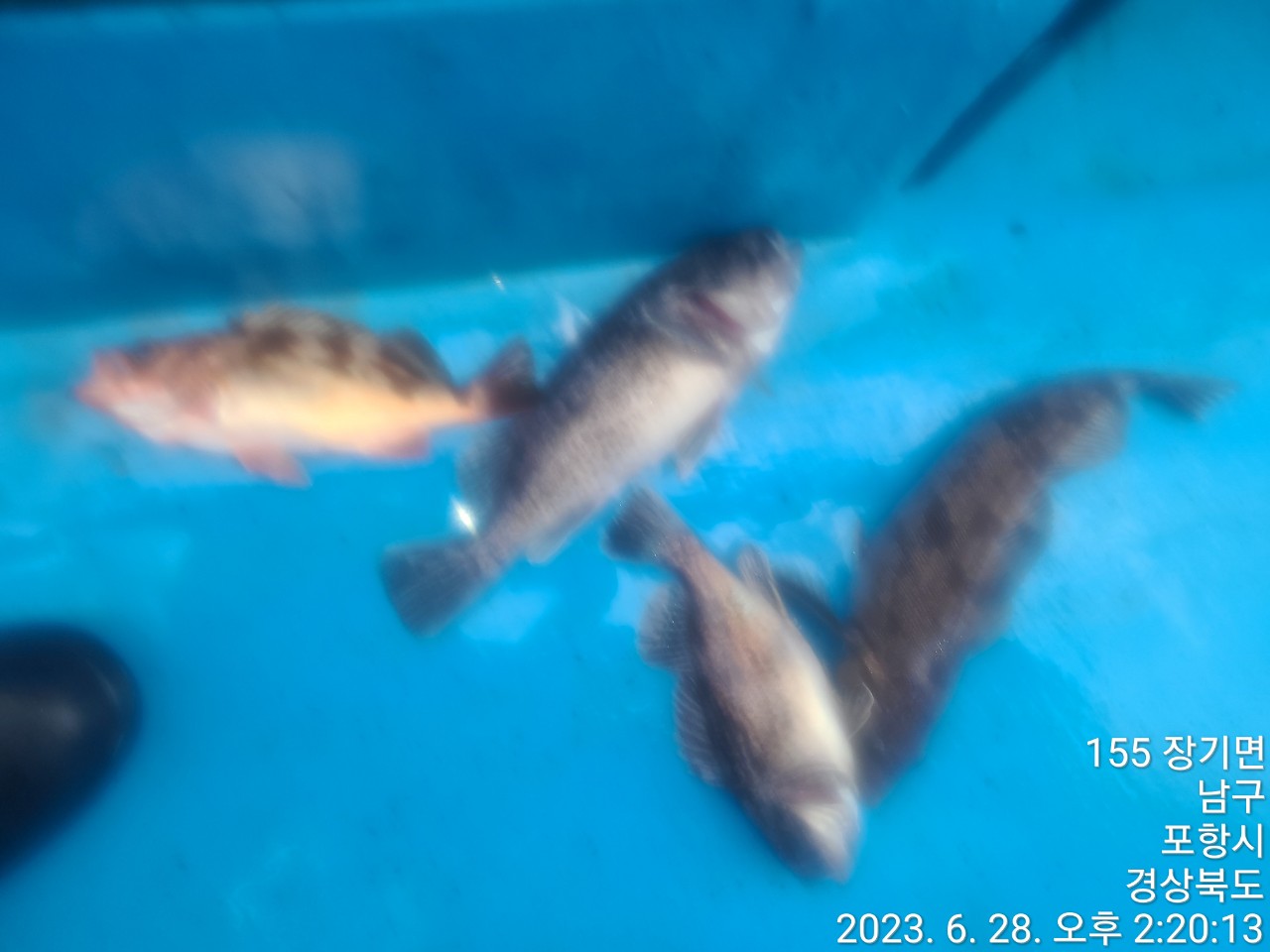 e_477Ud018svc2grrob3vzck3_9bt2m0.jpg