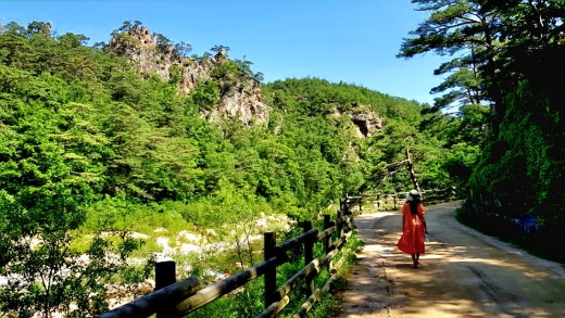 사진