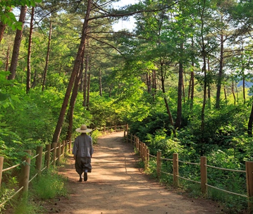 사진