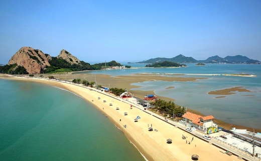 사진