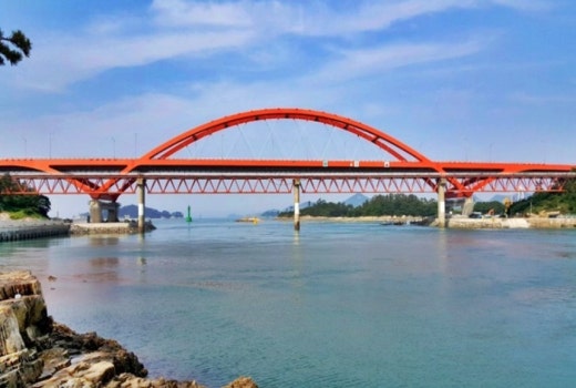 사진