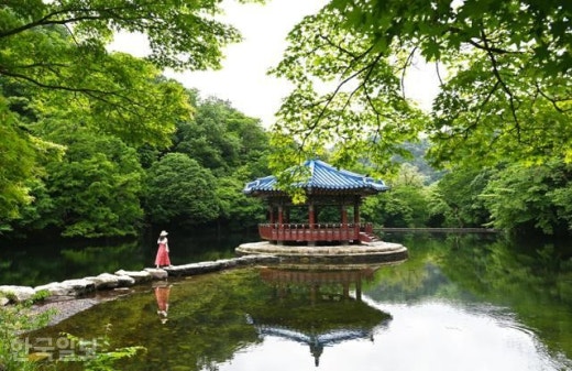 사진