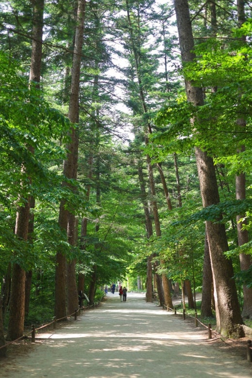 사진