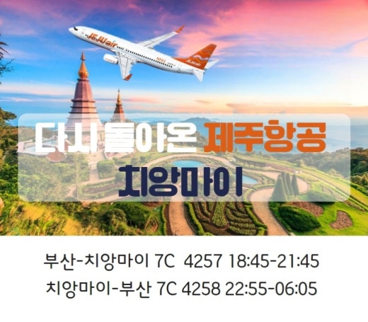 (주)매일관광 이미지
