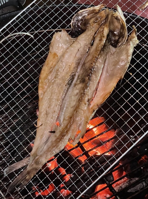 사진