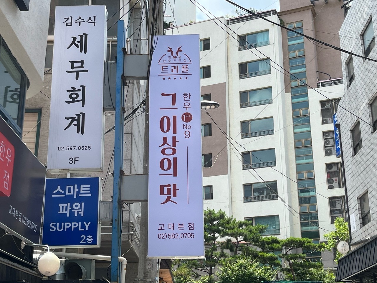 트리플지주 이미지