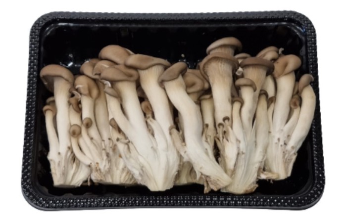 맛타리 버섯 1팩