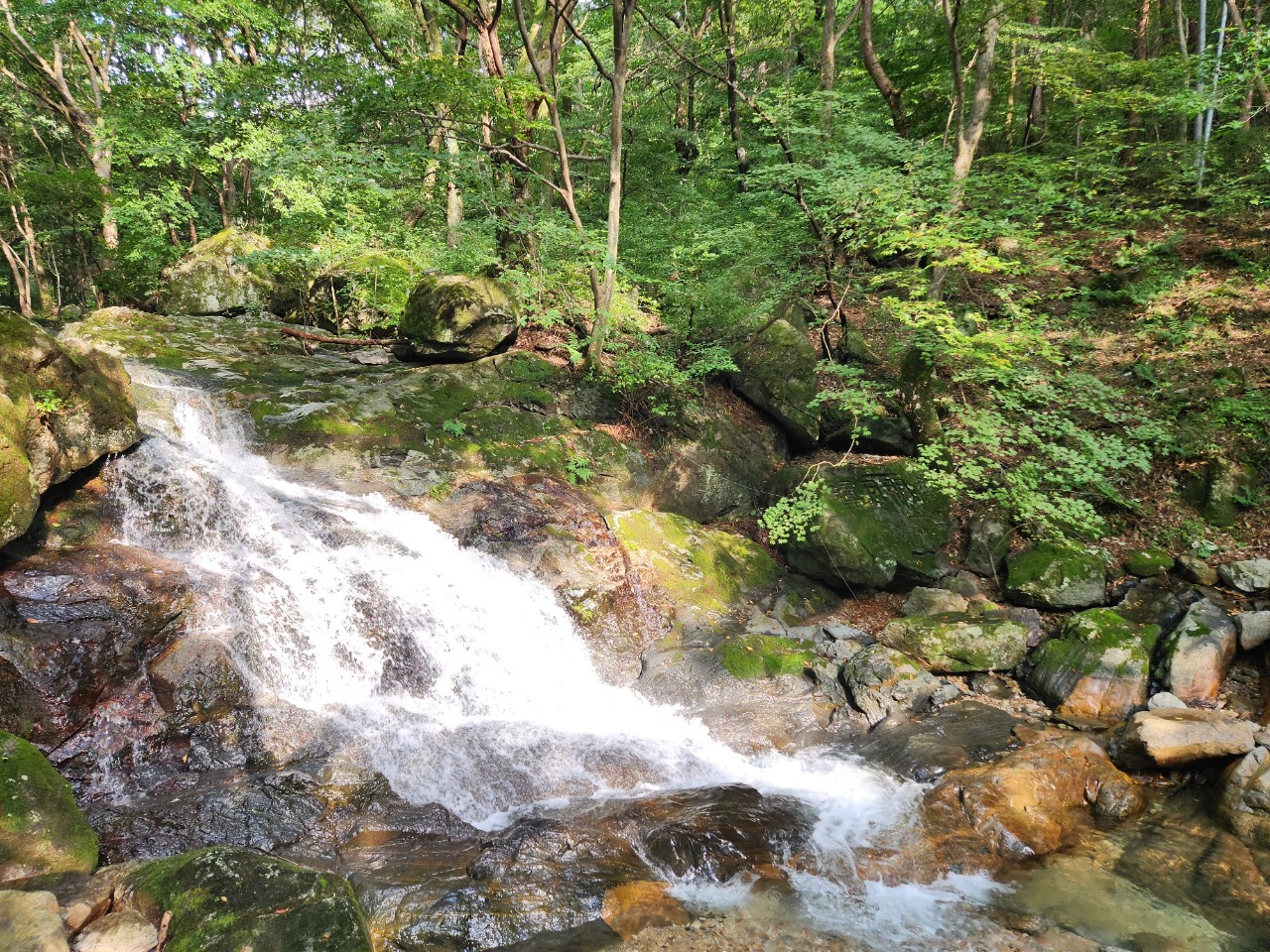 band images