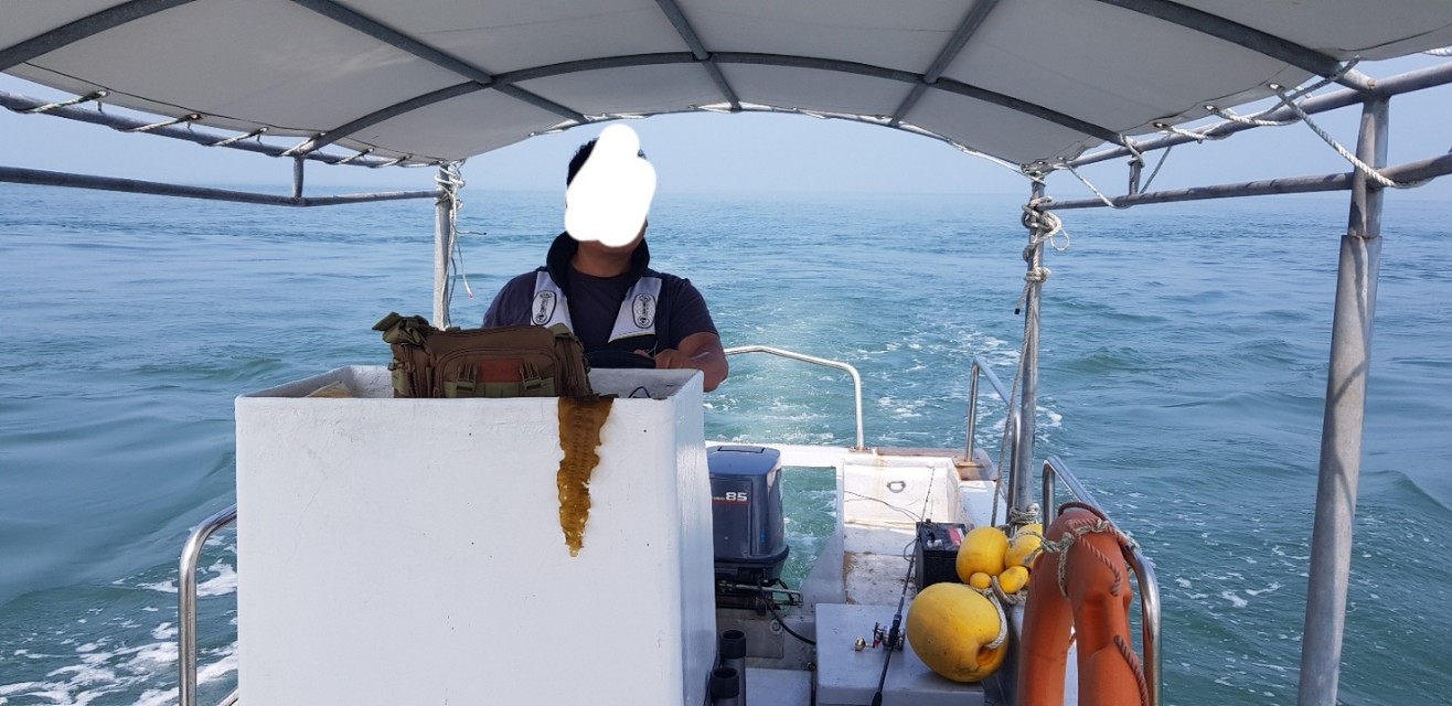 레져선 0.81톤 선외기 판매합니다.