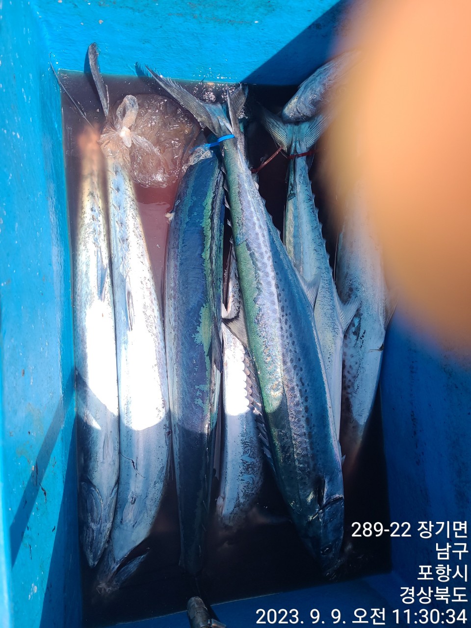 7_b65Ud018svcduwtut7fyddu_9bt2m0.jpg