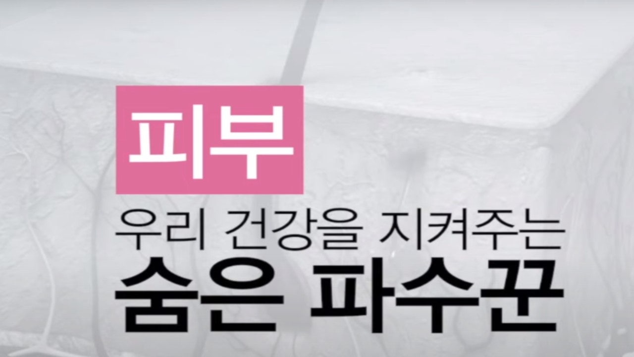 에스에이피부과의원 이미지
