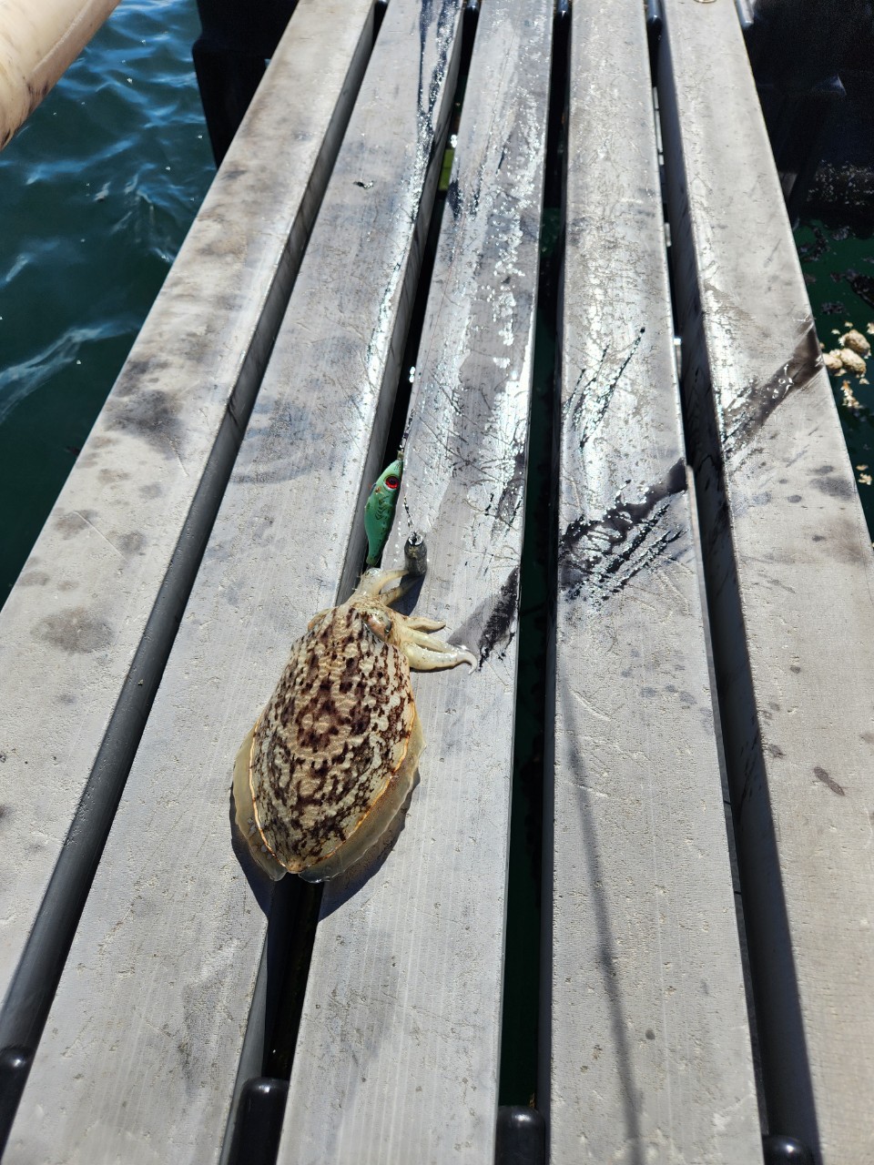 kimpro band images 9_01dUd018svcahel162ibcqi_ig33ls.jpg