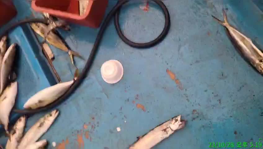 h_0hfUd018svc1294en2wk0fw8_9bt2m0.jpg