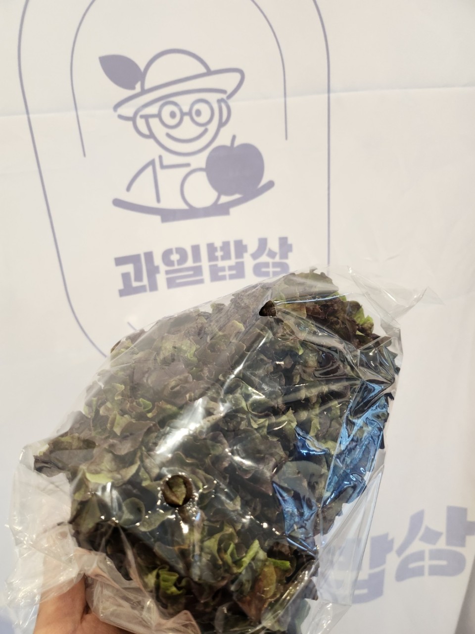상추 한봉(약130g) 1봉