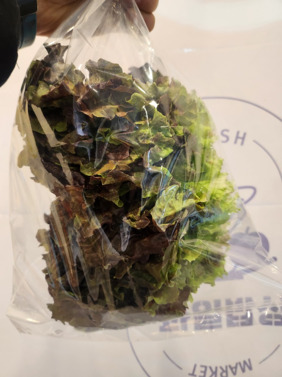 상추 한봉(약130g) 1봉