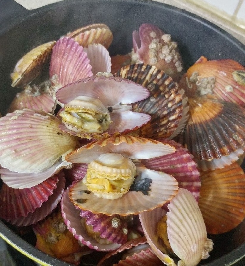 사용자가 올린 이미지