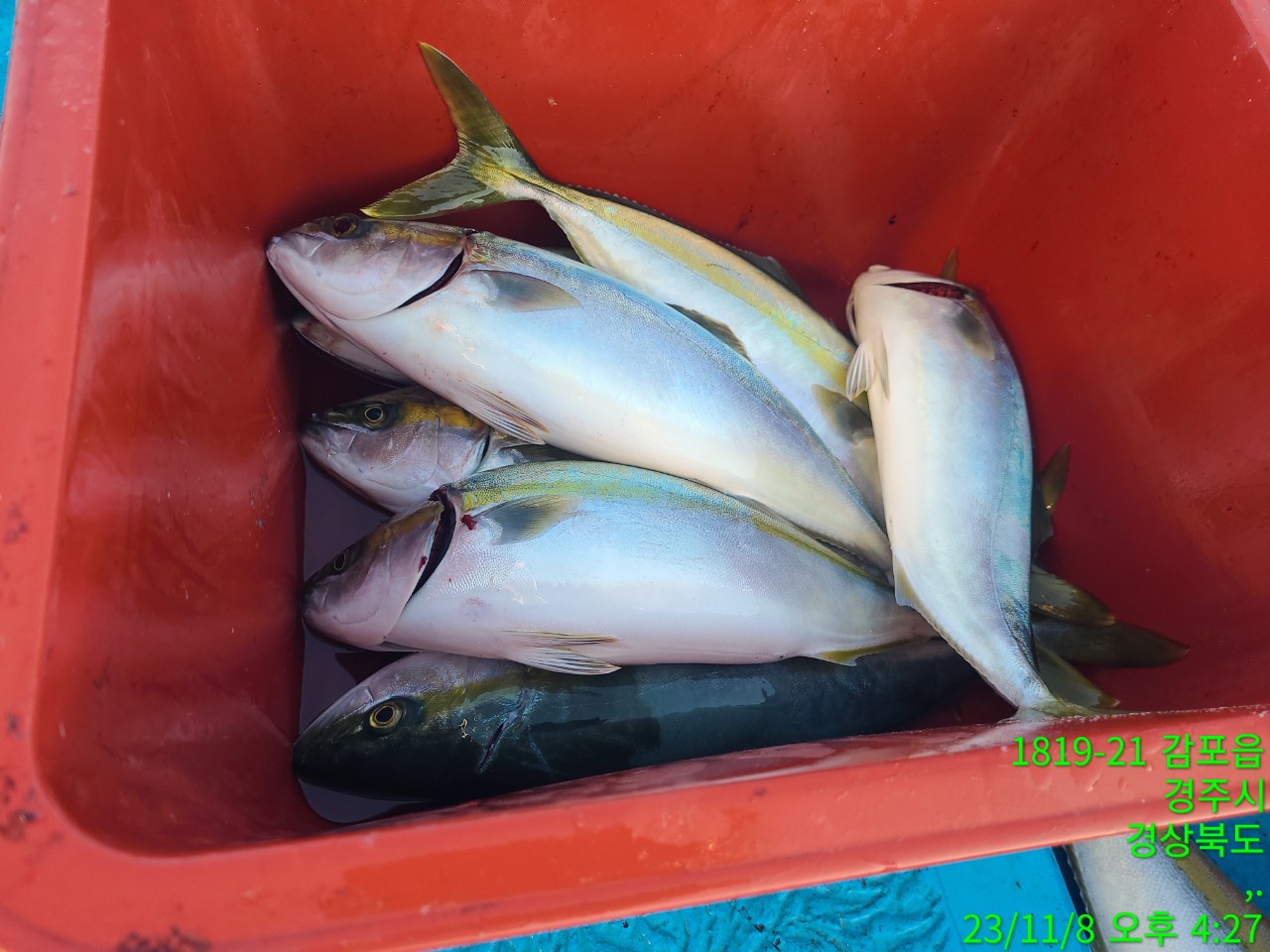 b_c9bUd018svc23xix38bi0qf_9bt2m0.jpg