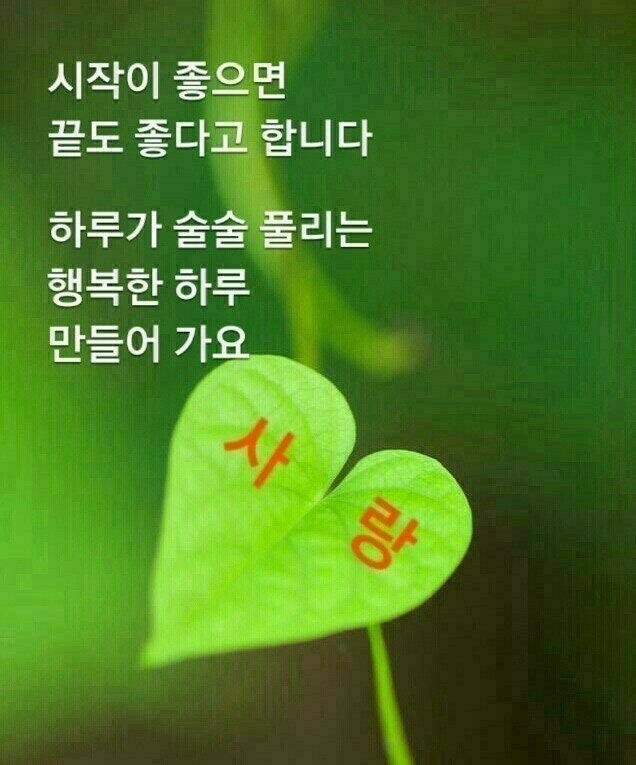 사용자가 올린 이미지