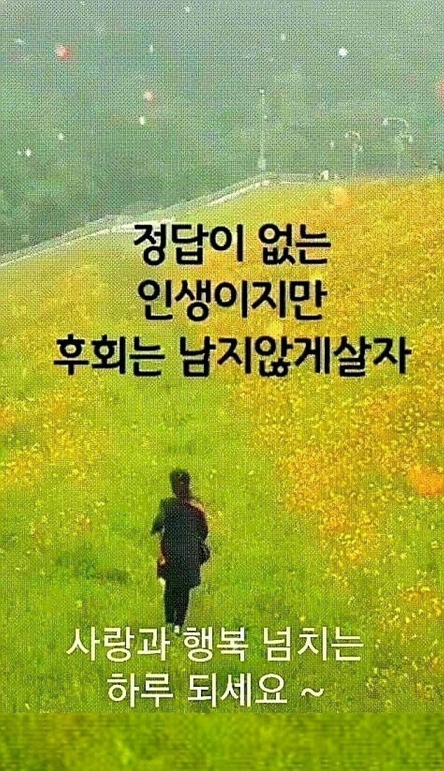 사용자가 올린 이미지