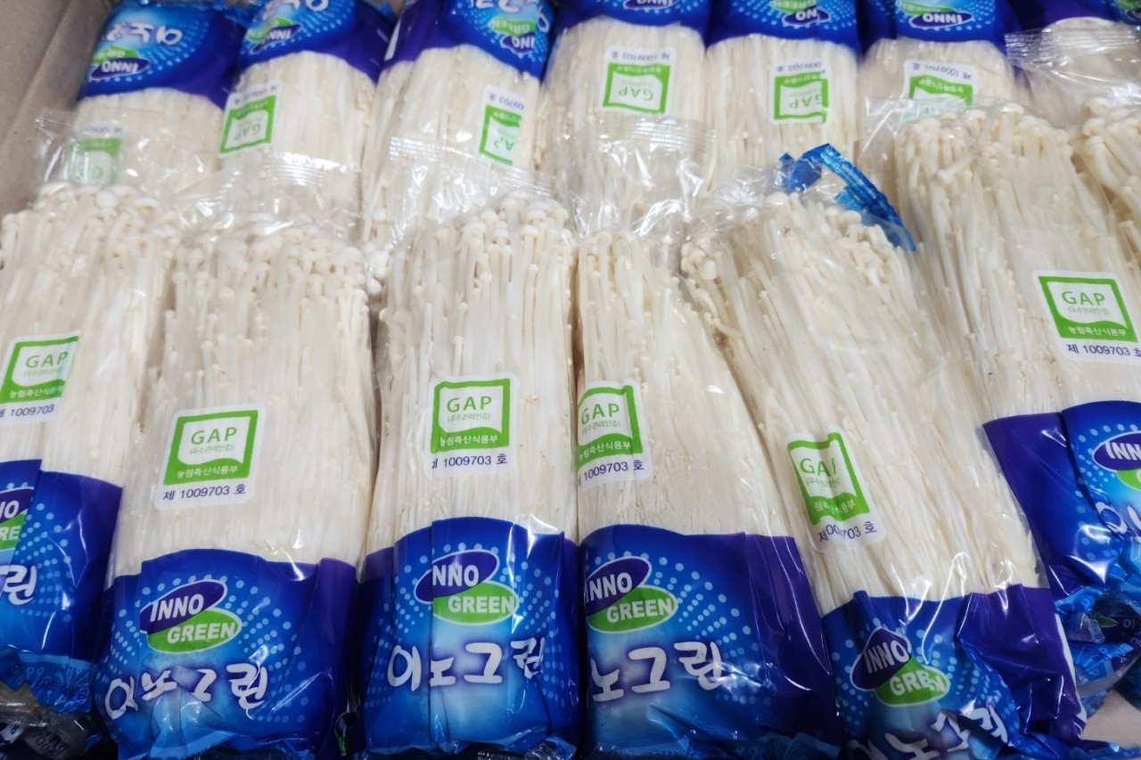 팽이버섯 3봉