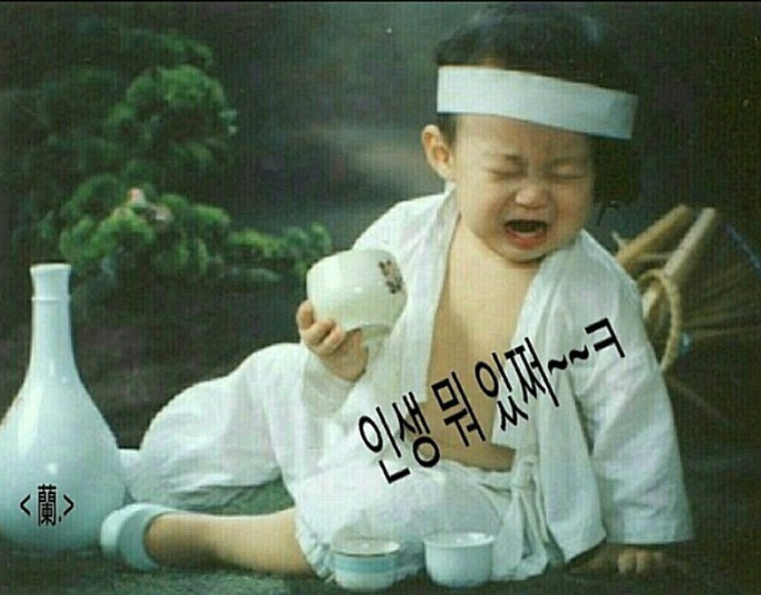 위니드투어 이미지