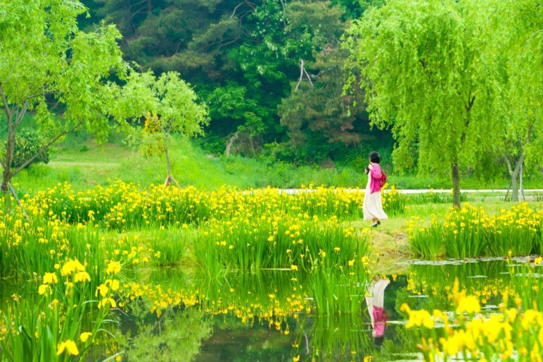 사용자가 올린 이미지